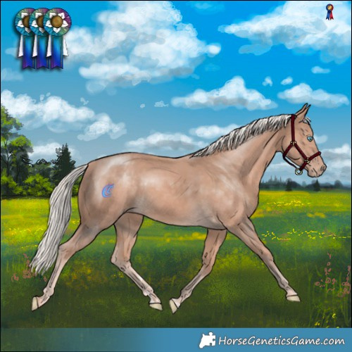 Horse Color:Cremello Mushroom 