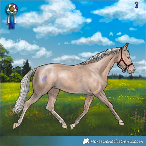 Horse Color:Cremello Mushroom 