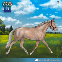 Horse Color:Cremello Mushroom 