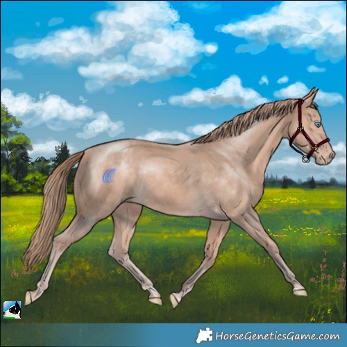Horse Color:Perlino Mushroom Rabicano 