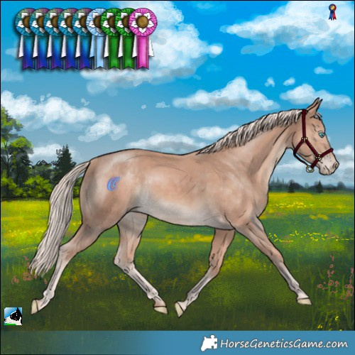 Horse Color:Cremello Mushroom 