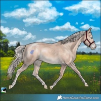 Horse Color:Cremello Mushroom