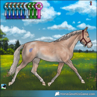 Horse Color:Cremello Mushroom