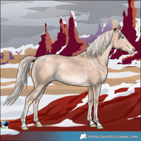 Horse Color:Cremello Mushroom Rabicano