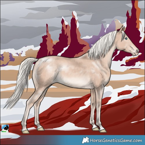 Horse Color:Cremello Mushroom Rabicano 