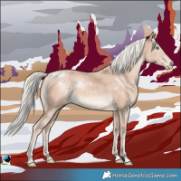 Horse Color:Cremello Mushroom Rabicano 