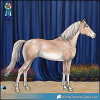 Horse Color:Cremello Mushroom Rabicano 