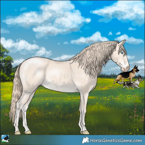 Horse Color:Perlino Mushroom Rabicano