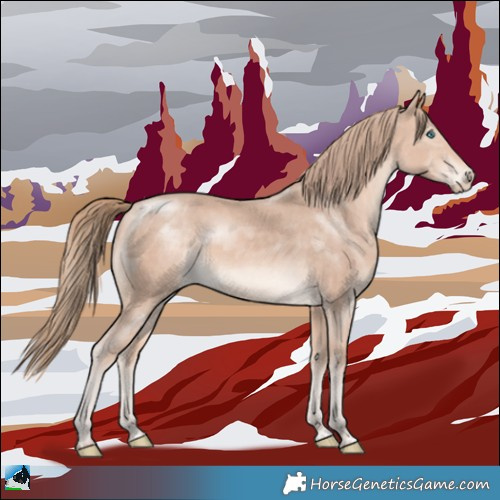 Horse Color:Perlino Mushroom Rabicano 
