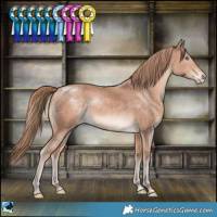 Horse Color:Perlino Mushroom Rabicano 