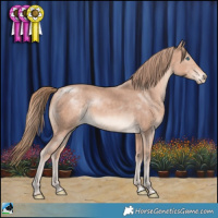 Horse Color:Perlino Mushroom Rabicano 