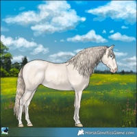 Horse Color:Perlino Mushroom