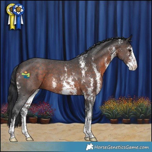 Horse Color:Brown Sabino 