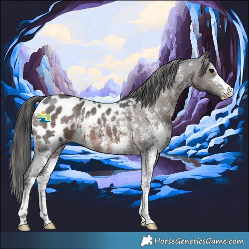 Horse Color:Brown Sabino Appaloosa 