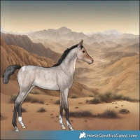 Horse Color:Brown Roan Dun Tobiano