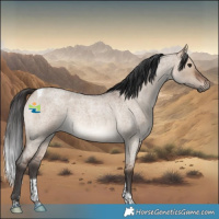 Horse Color:Brown Roan Dun Tobiano