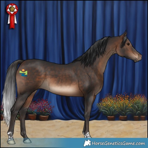 Horse Color:Brown 