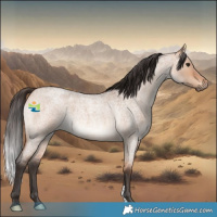 Horse Color:Bay Roan Dun 