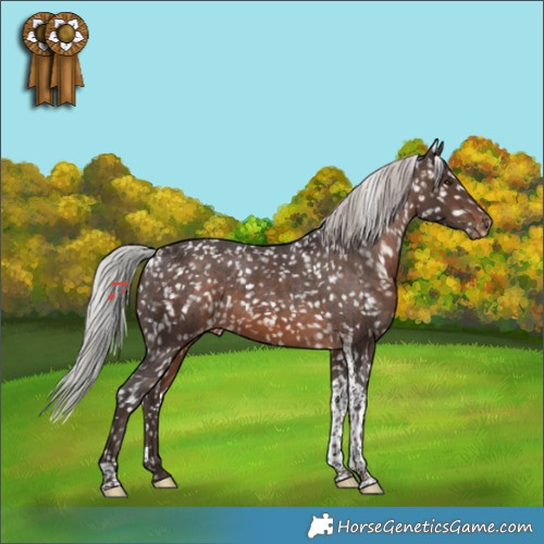Horse Color:White Spotted Silver Brown Tobiano Appaloosa Rabicano 