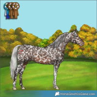 Horse Color:White Spotted Silver Brown Tobiano Appaloosa Rabicano 