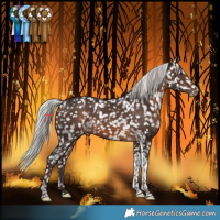 Horse Color:White Spotted Silver Brown Tobiano Snowflake Varnish Rabicano 