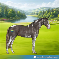 Horse Color:White Spotted Liver Chestnut Tobiano
