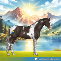 Horse Color:Liver Chestnut Splash Tobiano