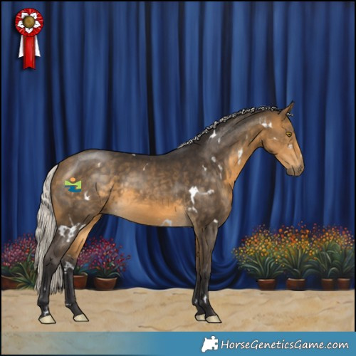 Horse Color:White Spotted Silver Buckskin 
