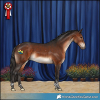 Horse Color:Brown Tobiano 