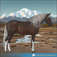 Horse Color:Silver Brown Tobiano 