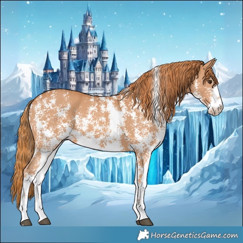 Horse Color:Chestnut Sabino 