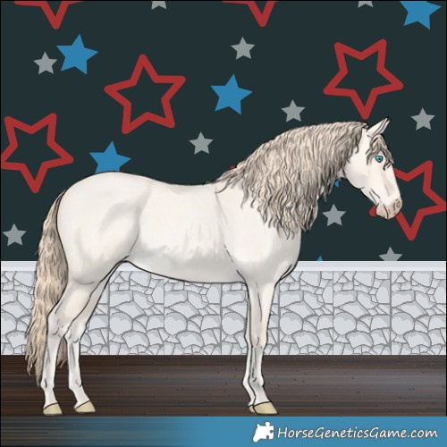 Horse Color:Perlino Roan Dun 