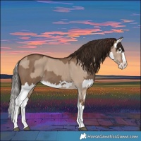 Horse Color:Liver Red Dun Splash  and Liver Red Dun Splash 