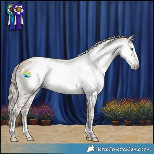 Horse Color:Gray White Spotted Buckskin Pearl Sabino Snowflake Varnish Rabicano 