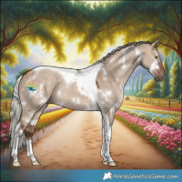Horse Color:White Spotted Silver Bay Dun Tobiano 