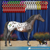 Horse Color:Brown Appaloosa Rabicano