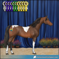 Horse Color:Bay Tobiano Rabicano