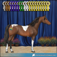 Horse Color:Bay Tobiano Rabicano 