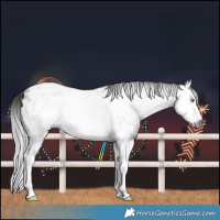 Horse Color:Gray Black Splash Blanket 