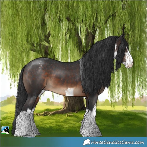 Horse Color:White Spotted Brown Varnish 