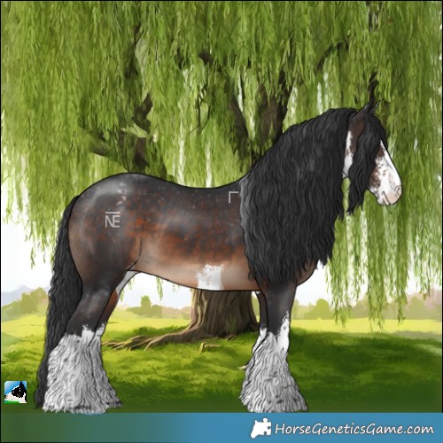 Horse Color:White Spotted Brown Varnish 