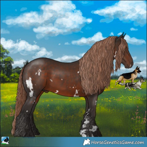 Horse Color:White Spotted Liver Chestnut 