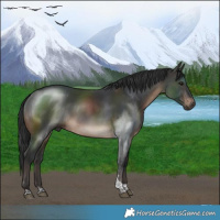 Horse Color:Brown Tobiano Rabicano