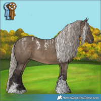 Horse Color:Powder White Gray Silver Grullo 