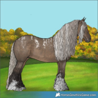 Horse Color:Powder White Gray Silver Grullo 