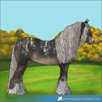 Horse Color:Powder White Gray Silver Smoky Black 