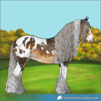 Horse Color:Gray White Spotted Silver Buckskin Splash Tobiano Appaloosa 