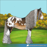 Horse Color:Gray White Spotted Silver Buckskin Splash Tobiano Appaloosa 