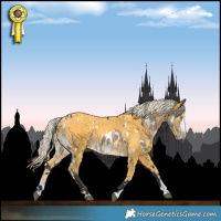 Horse Color:White Spotted Silver Smoky Grullo Splash Appaloosa  and Palomino 