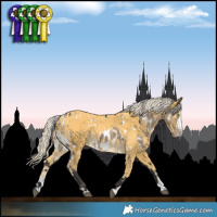 Horse Color:White Spotted Silver Smoky Grullo Splash Appaloosa and Palomino